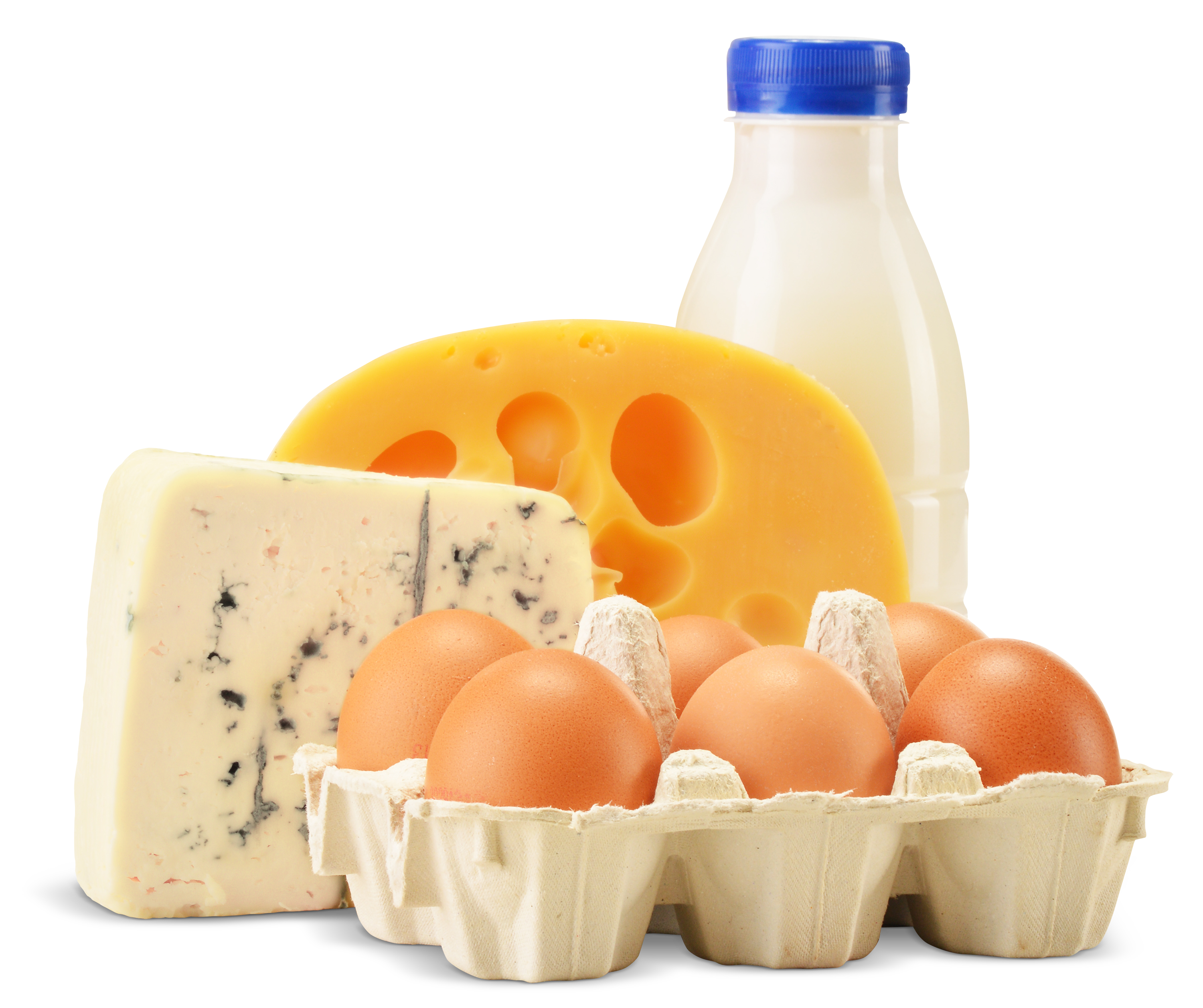 Молочная продукция
